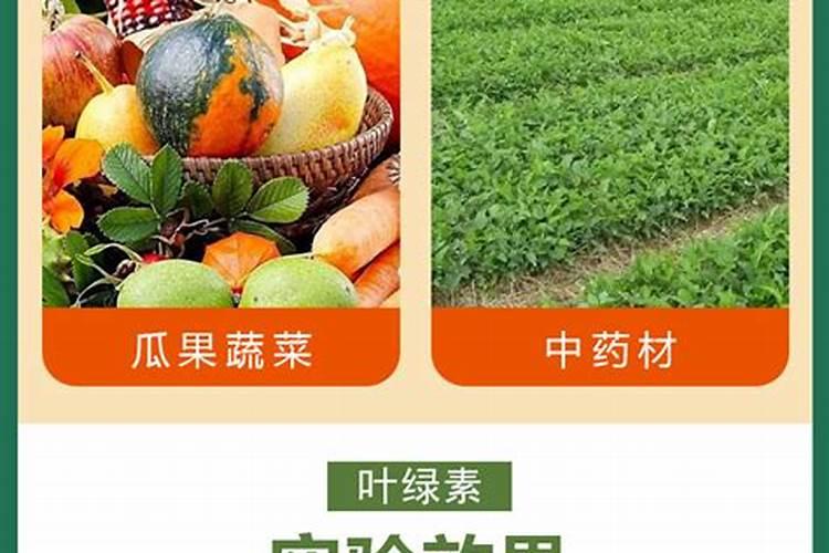 在水稻上用什么增产农药