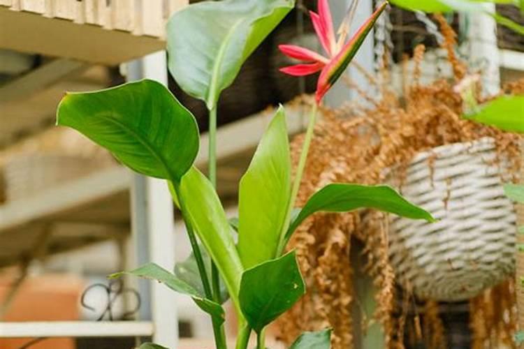 污水处理厂氨氮超标原因及处理方法