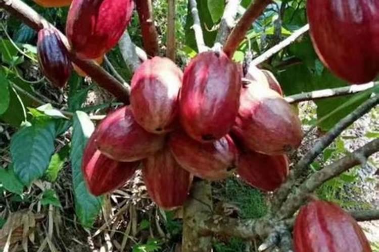 从肥料污染中学了什么