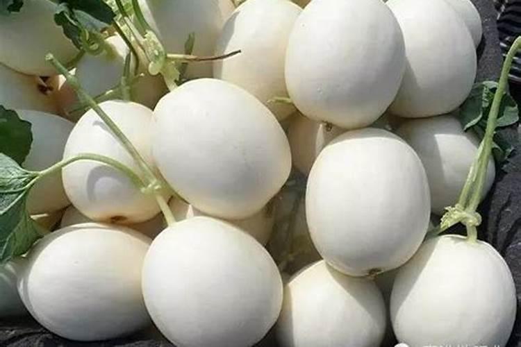 水稻苗床打叶面肥应该间隔几天多少天？