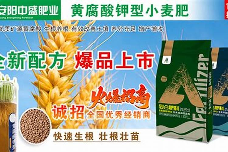 玉米用什么叶面肥好