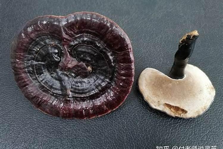 芸苔素对植物生长有什么作用？