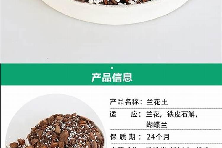 兜唇石斛的生长过程施什么肥呢？兜唇石斛繁殖方式介绍!