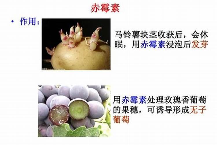 什么冲施肥对果实膨大最快