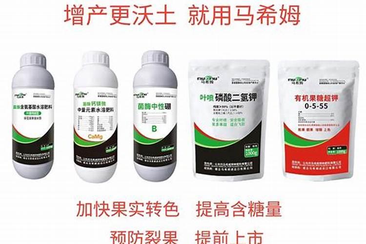 白芸豆高产方法 怎么让白芸豆高产