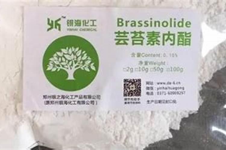 什么时候不能喷芸苔素
