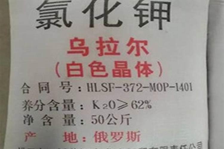 茶树南方施肥的时间和方法