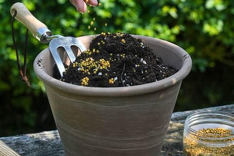 奥绿肥各型号的用法和区别奥绿肥怎么使用