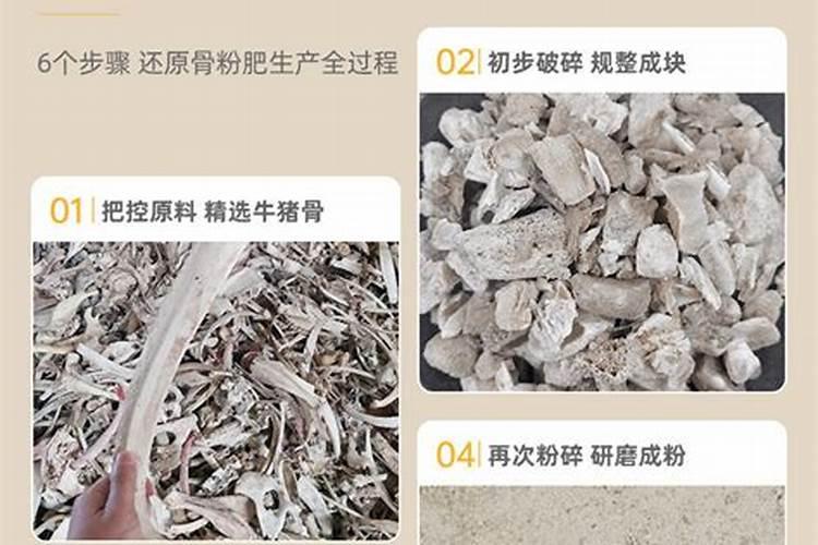 骨粉可以养花吗？