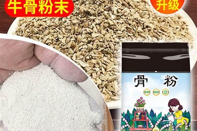 骨粉可以养花吗？