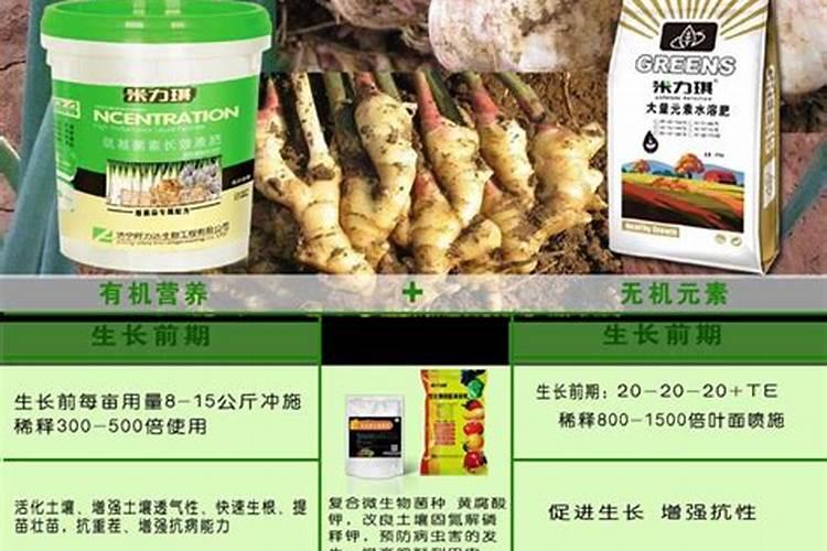 辣椒施肥要哪种肥比较好