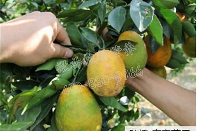 盐和化肥的区别