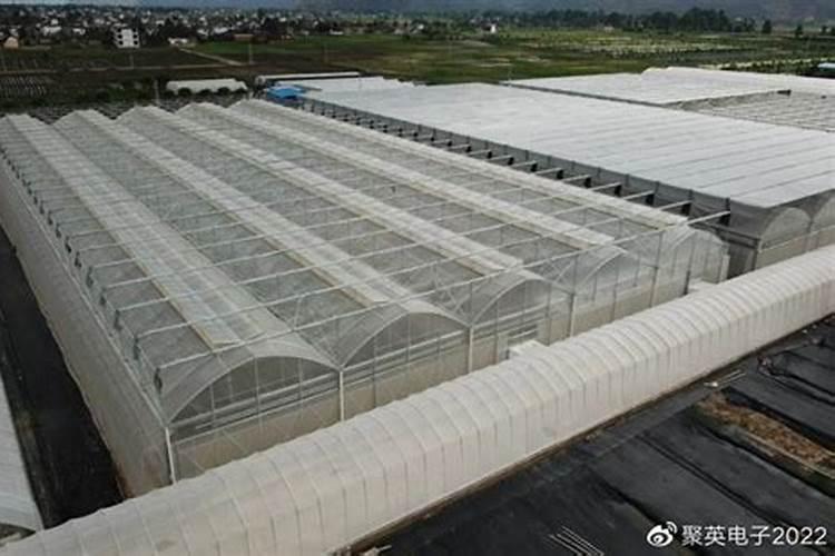 土豆根茎块膨大叶面肥？土豆用哪种肥料根茎块长势旺？