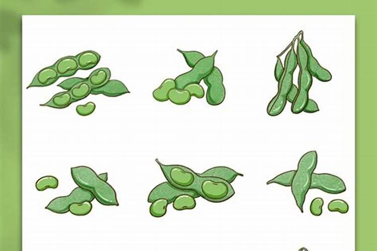 磷酸二氢钾是什么肥料起什么作用(磷酸二氢钾俗称什么肥料)