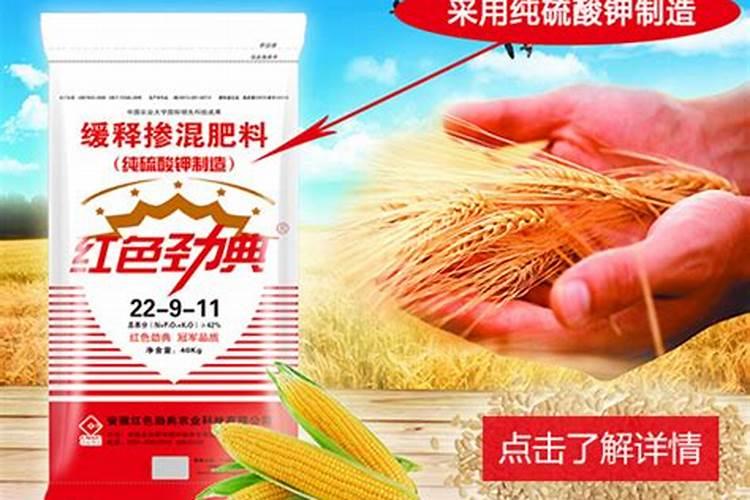 麦子各个阶段施什么肥料好 施肥注意事项
