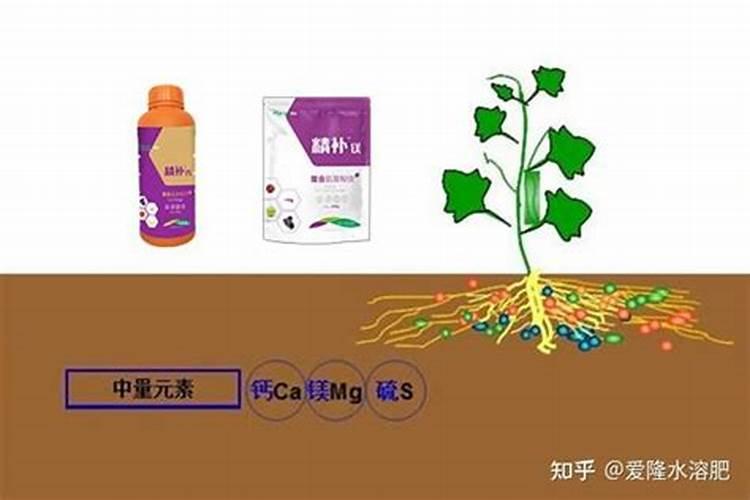生产水溶肥料需要办理什么证件手续