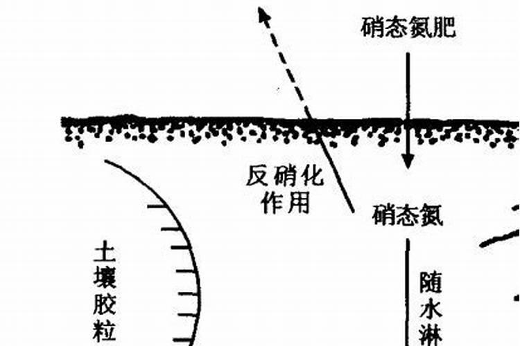 硝态氮肥的特点
