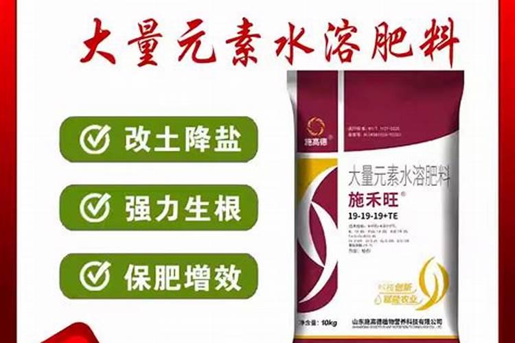 什么冲施肥好