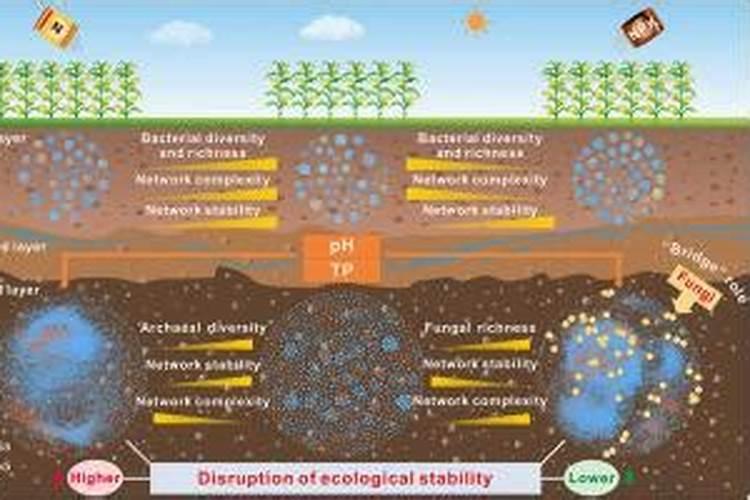 怎样简单辨别钾肥的真假与好坏？