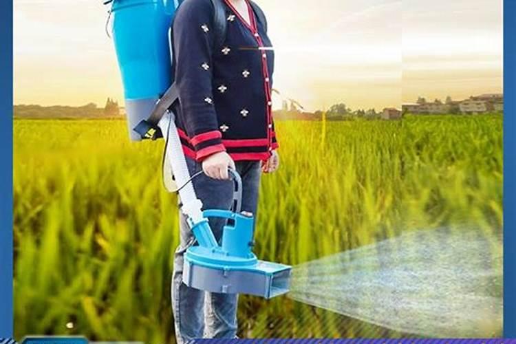 冬瓜需要怎样管理才能结果