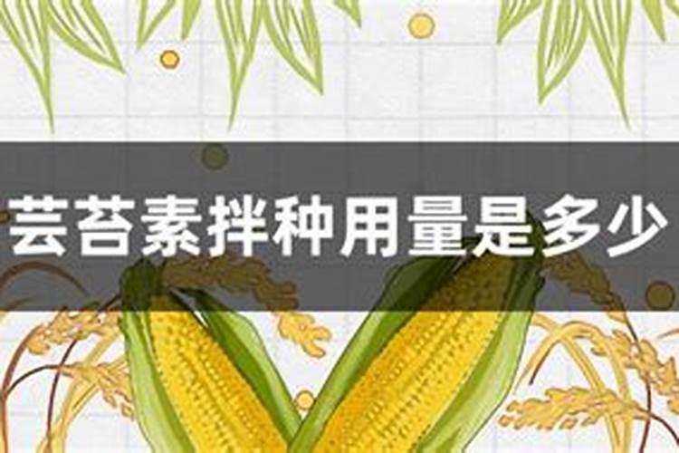 种辣椒用什么肥料最好