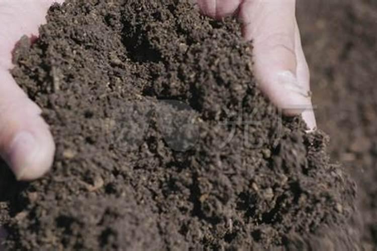 如何提高氮肥磷肥钾肥的利用率 提高氮肥磷肥钾肥的利用率方法