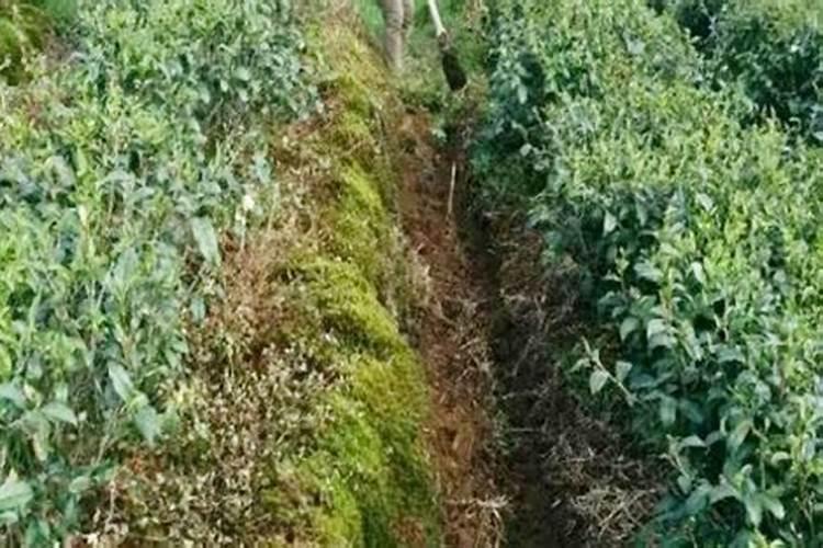 稀土镁硅铁合金的介绍