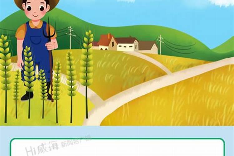 买的生物菌肥长毛了,又有人说这是菌丝,到底好不好