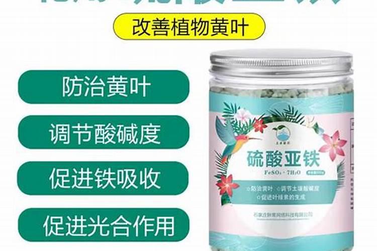 茉莉花浇什么肥料合适