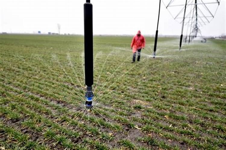 大量元素水溶肥料多少钱一要几天才能配土