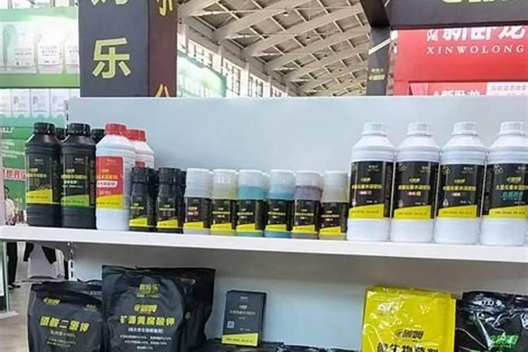 落地生根怎样浇水与修剪？