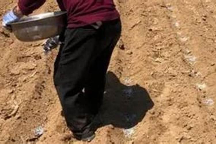 科学家发现金星云层中存在厌氧微生物,曾有生命存在？