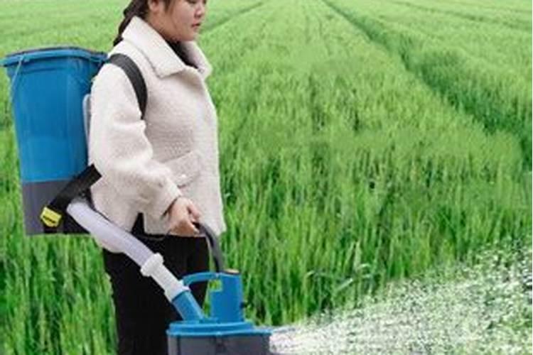 氨基酸水溶肥料的用法有哪些 氨基酸水溶肥使用禁忌