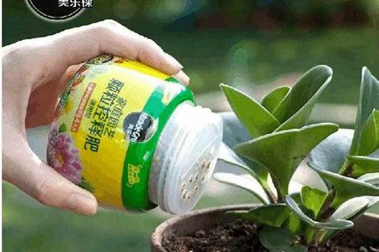 苹果树根部打完水溶肥还能打叶面肥吗