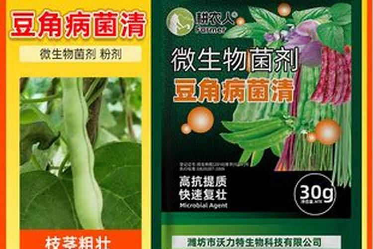 豇豆的养殖方法和注意事项