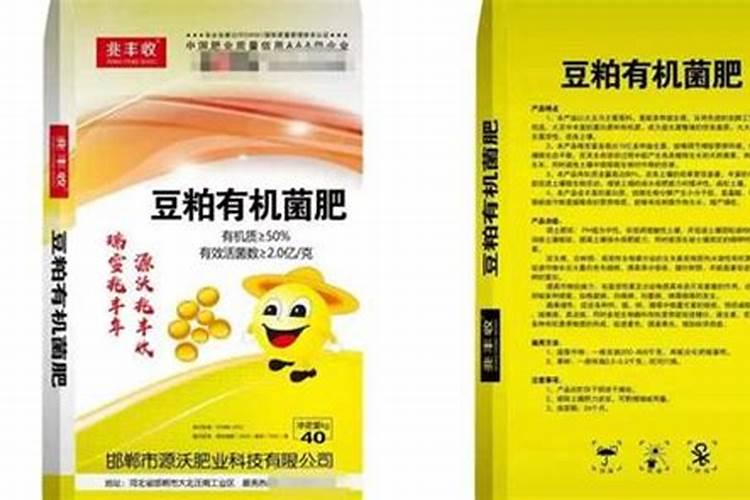 枣树叶子发蔫原因及补救方法