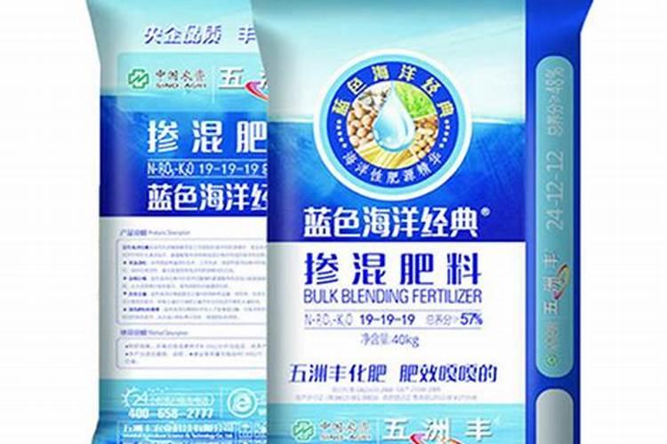 蟹爪兰上什么肥料最好正准备开花