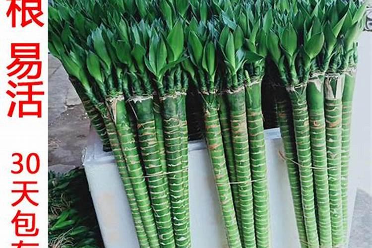 酸洗废水怎么看电导率高低