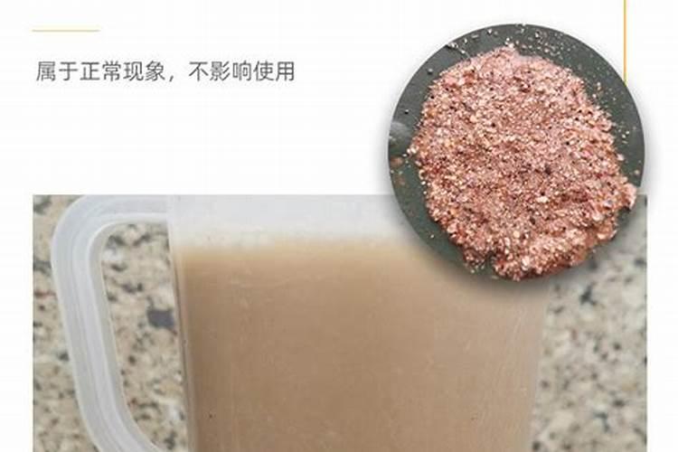 君子兰用什么施肥快速长新叶