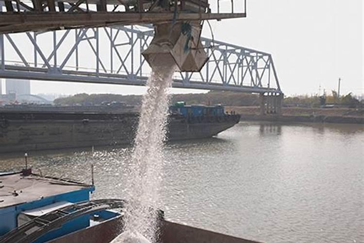 用硫酸除大树需兑水吗？