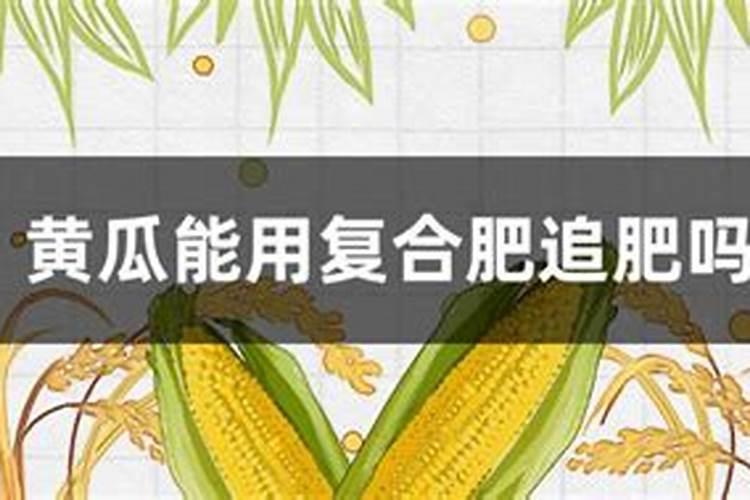 黄瓜追肥用什么肥料好