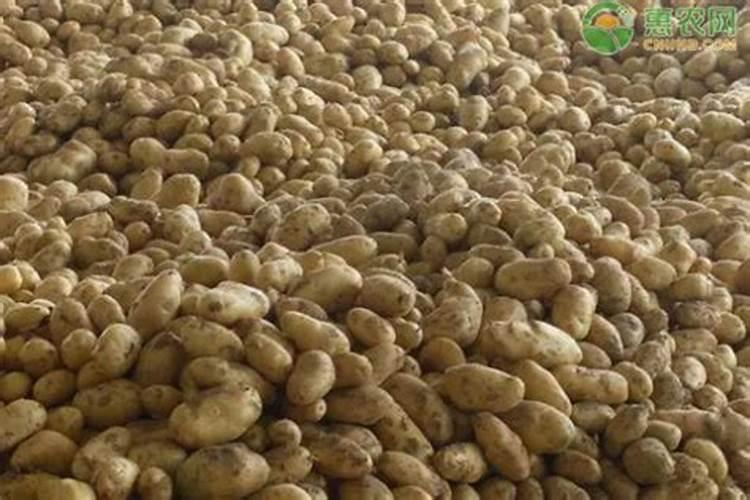 高有机废水有哪些