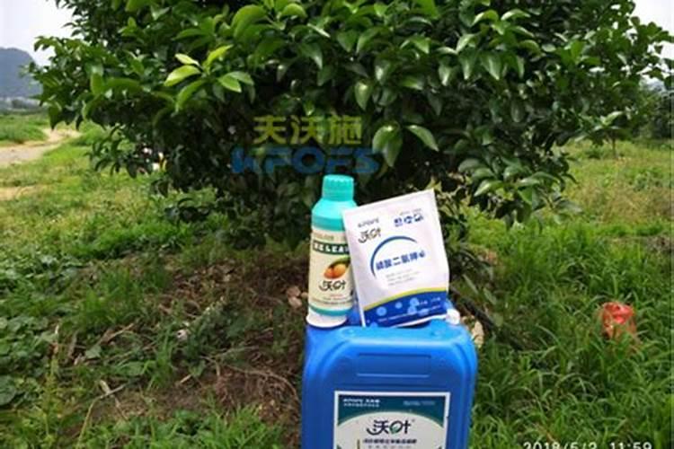 猕猴桃水溶肥的用量用法是什么