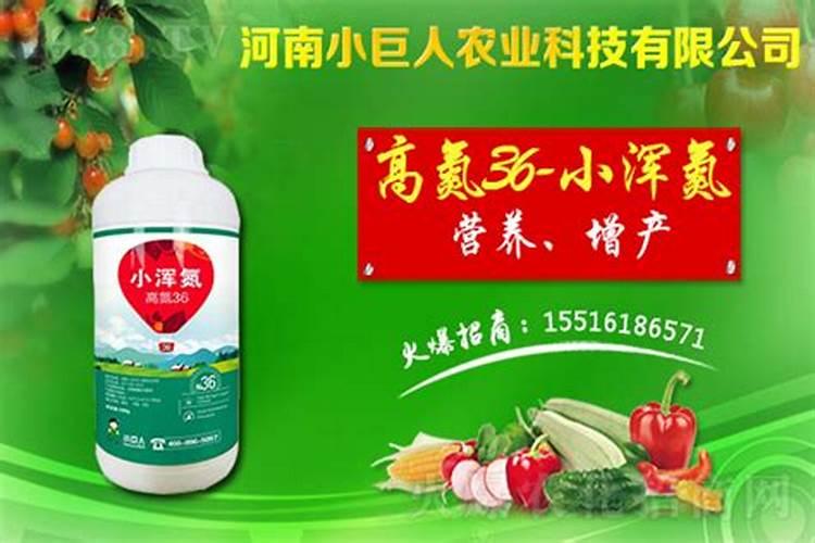 如何科学合理地施用氮肥