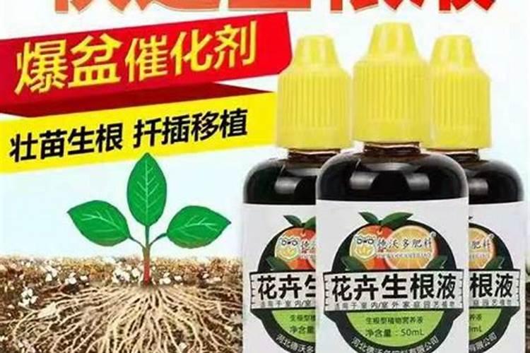 生物有机肥排名一览表