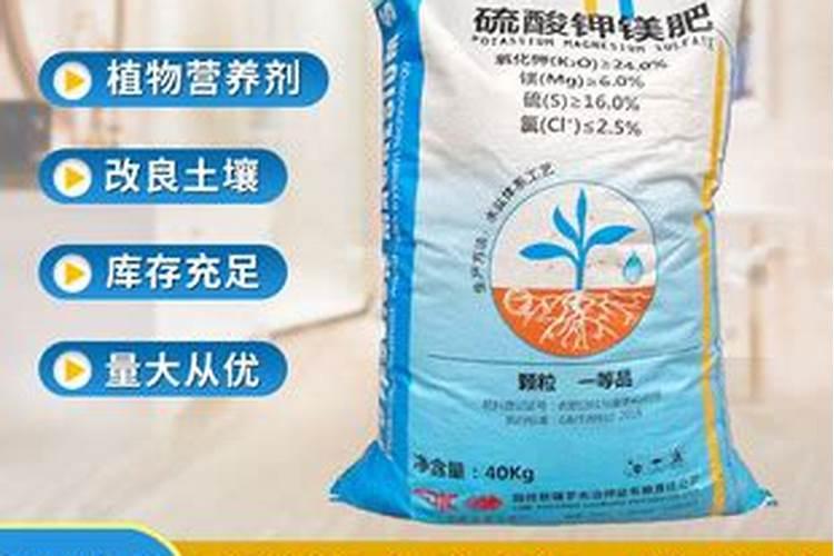 盐碱地怎么改良呢？