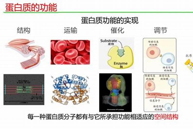 芒果挂果了以后用什么肥料好点