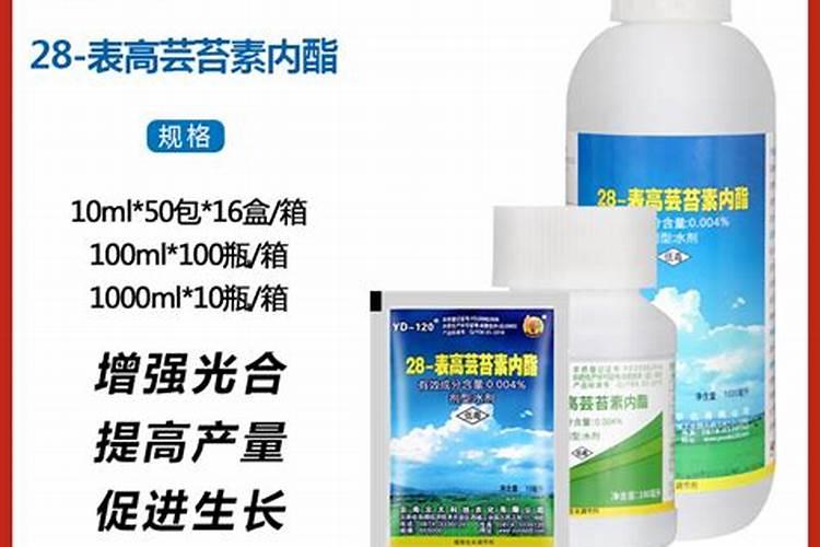 芸苔素内酯怎么兑水