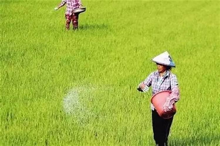 葡萄钾肥给能代水溶肥用一亩地用多少斤合适