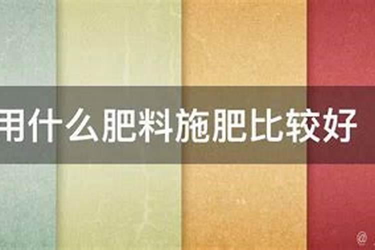 海南黄花梨叶子,出生就烂,好像被虫吃了一囗